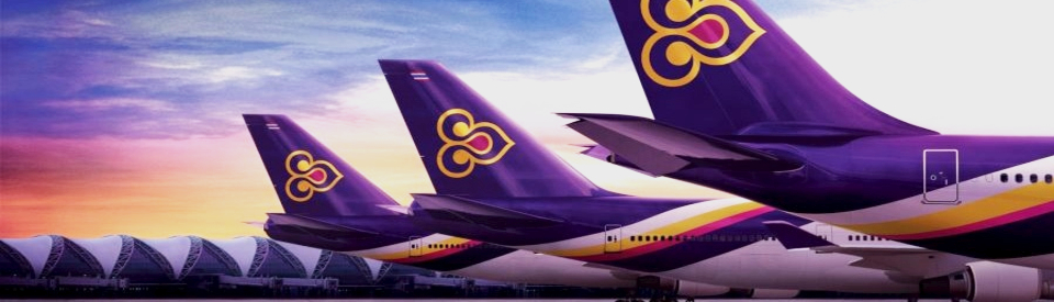 myBangkokDriver – Private Airport Flughafen Transfer SUVARNABHUMI oder DON MUANG im klimatisierten Minibus oder Van